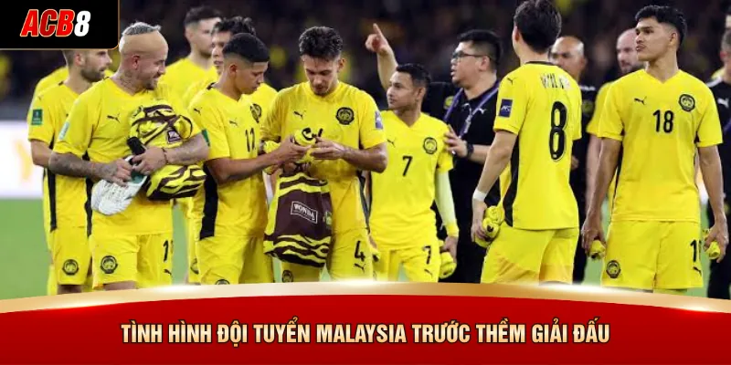 Tình hình đội tuyển Malaysia trước thềm giải đấu